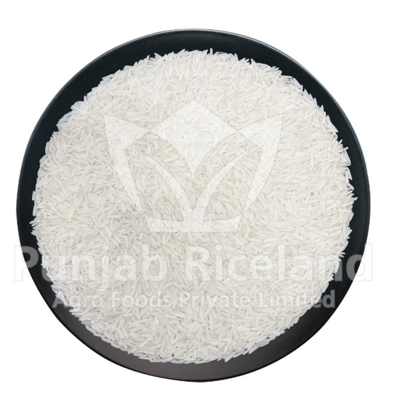 1509 Creamy Sella Basmati Rice