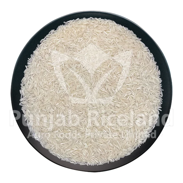 1121 Steam Basmati Rice (White color)