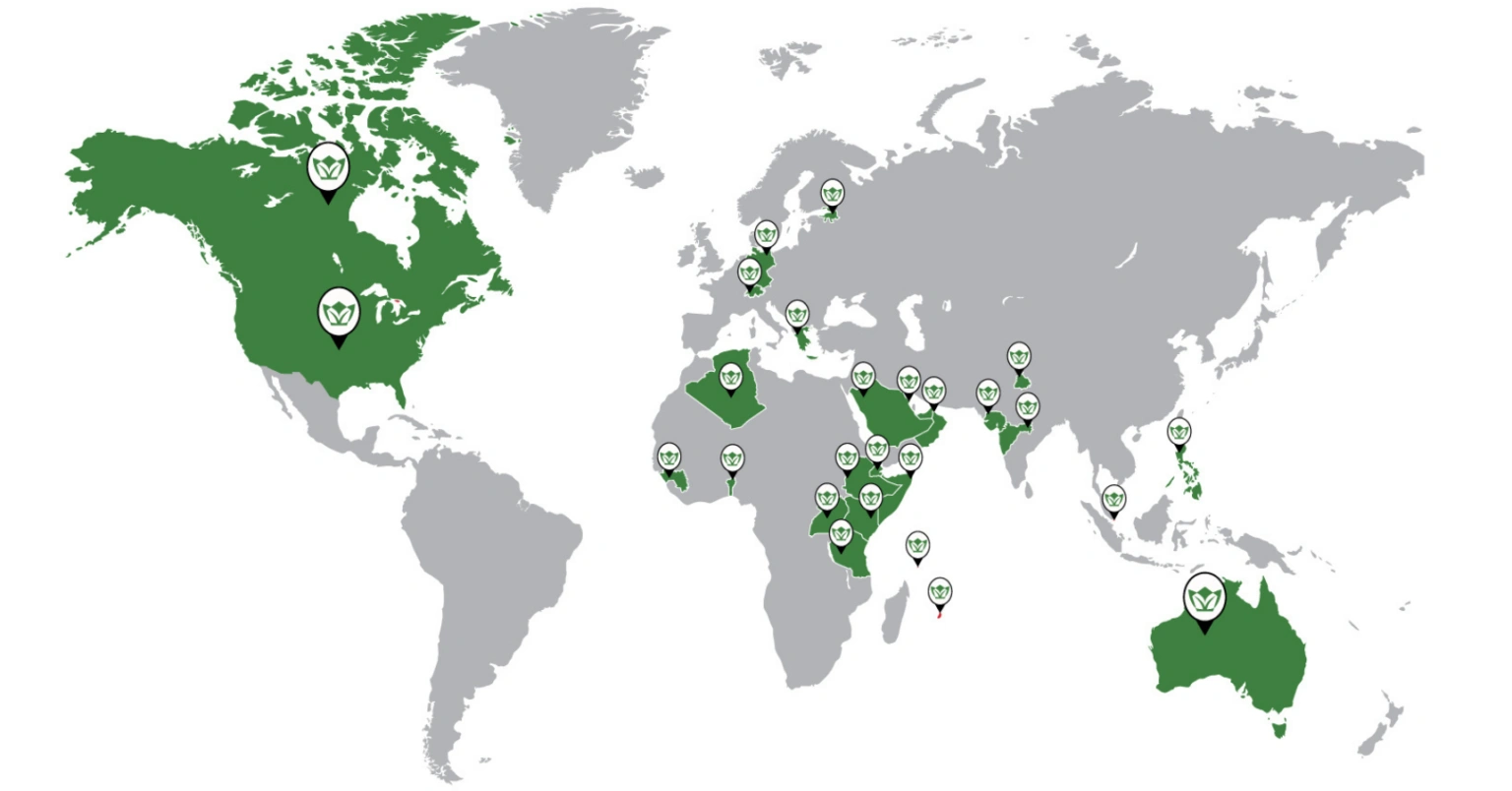 global presence