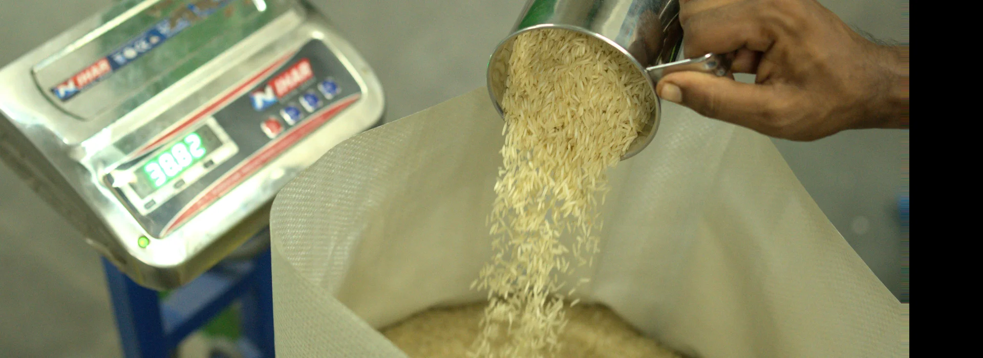 Punjab Riceland Agro Foods - slide 12