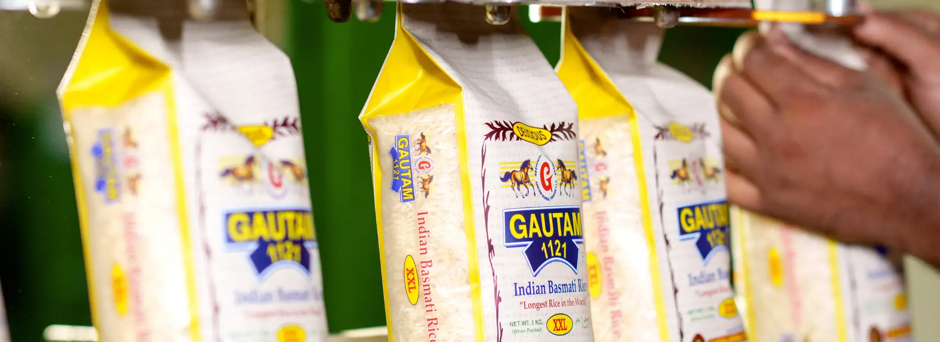 Punjab Riceland Agro Foods - slide 14