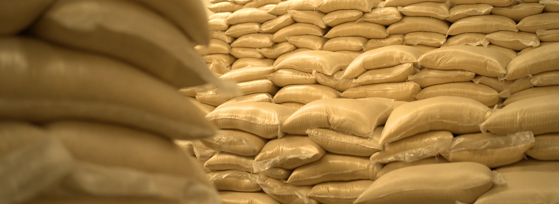 Punjab Riceland Agro Foods - slide 6